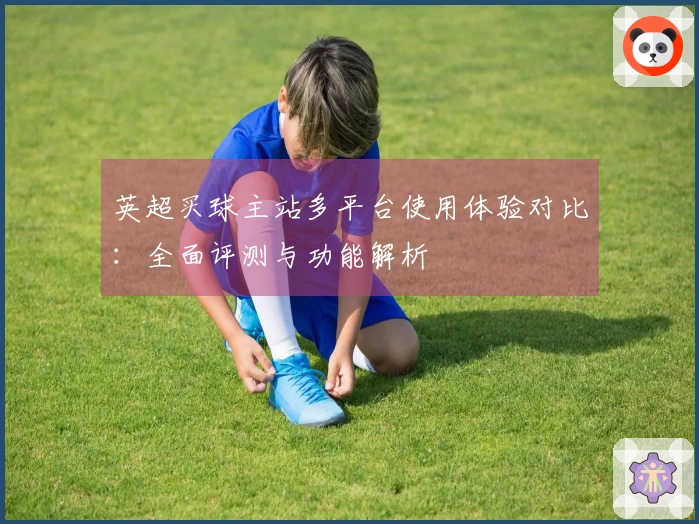 英超买球主站多平台使用体验对比：全面评测与功能解析