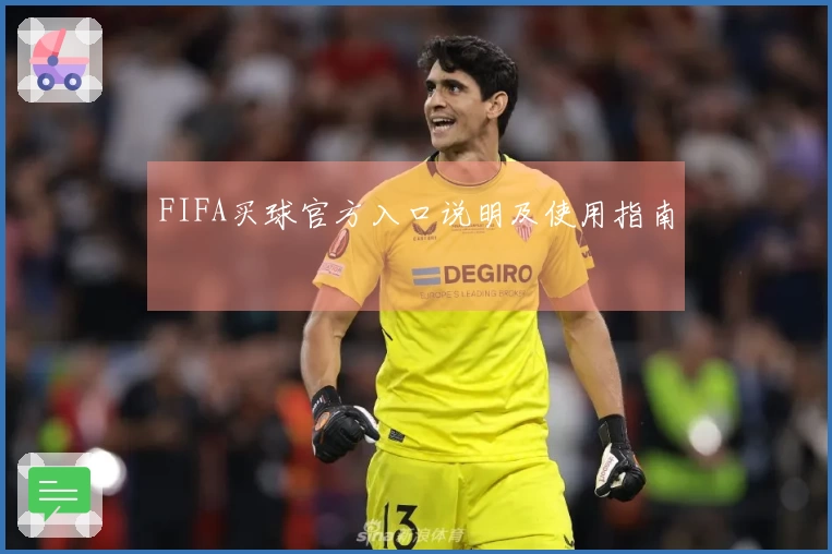 FIFA买球官方入口说明及使用指南