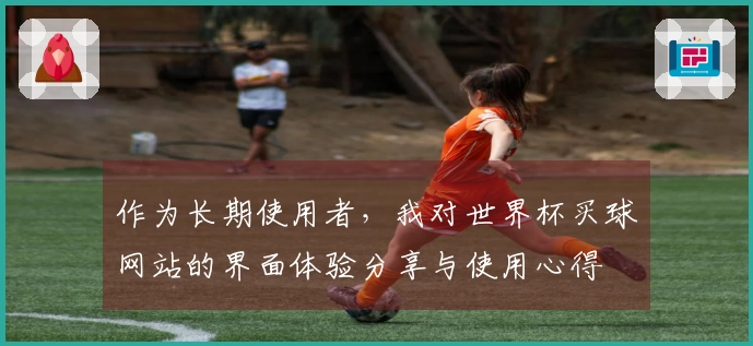 作为长期使用者，我对世界杯买球网站的界面体验分享与使用心得